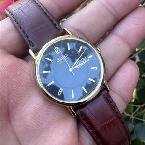 Citizen Eco-Drive Day Date Gold Case with Brown Strap Watch